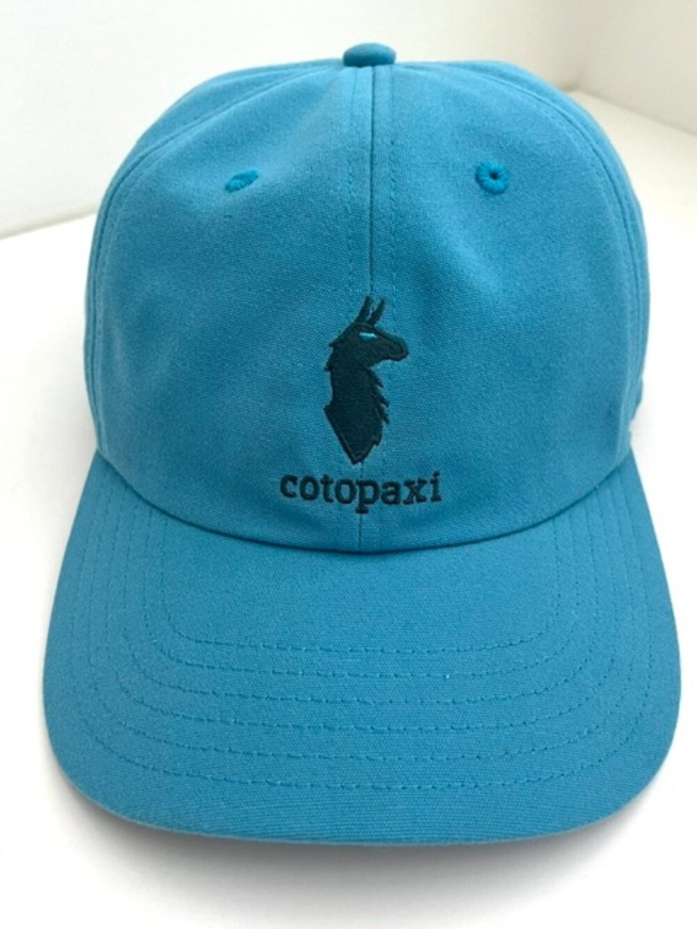 Cotopaxi Dad Hat in Light Blue